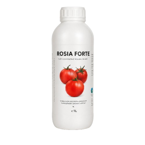 MARE OFERTA