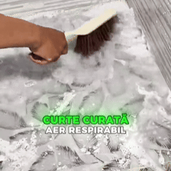 Pudră Activă pentru Fosă Septică – Concentrată pentru efect instant