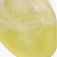 Pudră Activă pentru Fosă Septică – Concentrată pentru efect instant