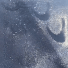 Polish Auto Ceramic Profesional – Luciu Intens Protecție Hidrofobă Durabilă - 236ml Mare Oferta