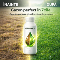 IerbiMax – Repară gazonul uscat și îl face verde în 7 zile