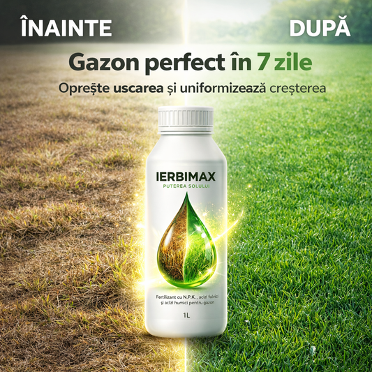 IerbiMax – Repară gazonul uscat și îl face verde în 7 zile