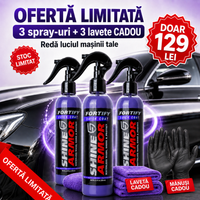 Spray Polish Ceramic Auto 3x – Aplici, ștergi și gata: luciu tip oglindă + protecție hidrofobă