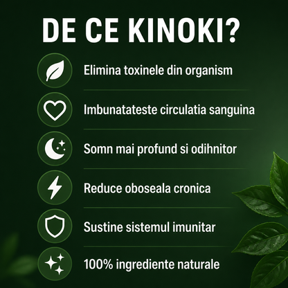 Plasturi Detox — Curatare Naturala a Organismului prin Talpi (10 buc)