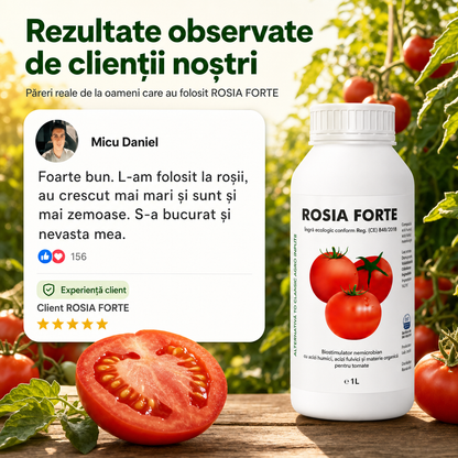 1+1 ROSIA FORTE – Biostimulator concentrat pentru roșii mari și recoltă bogată