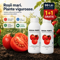 1+1 ROSIA FORTE – Biostimulator concentrat pentru roșii mari și recoltă bogată