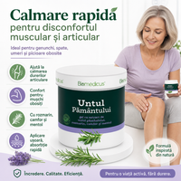 Untul Pământului Gel Forte™ – Gel pentru Masaj, Articulații și Mușchi, cu Rozmarin, Camfor și Mentol, 250 ml